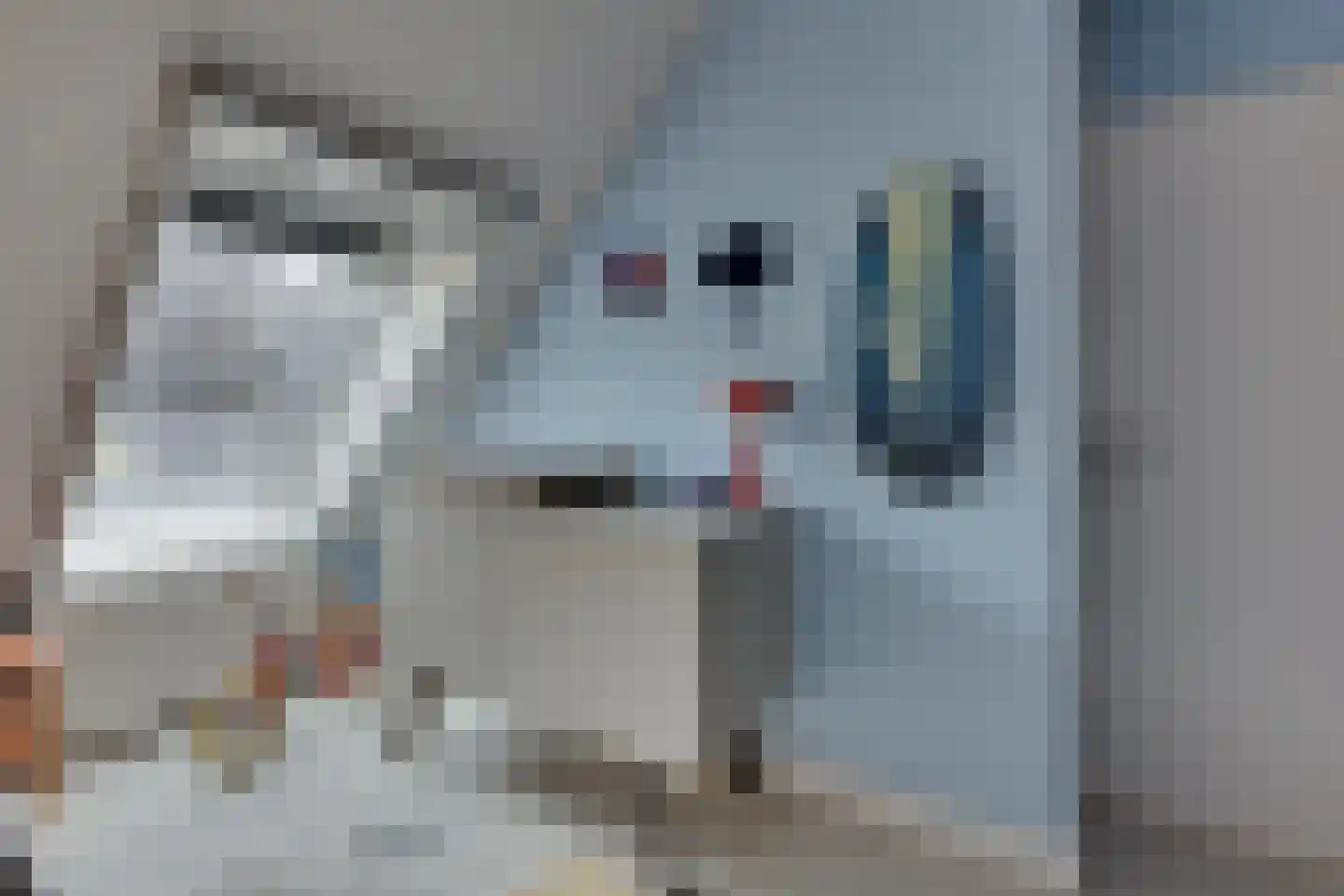 Switbertushof 5 Lichtenvoorde thumbnail 24