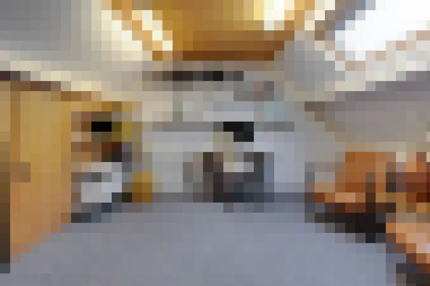 Switbertushof 5 Lichtenvoorde thumbnail 31