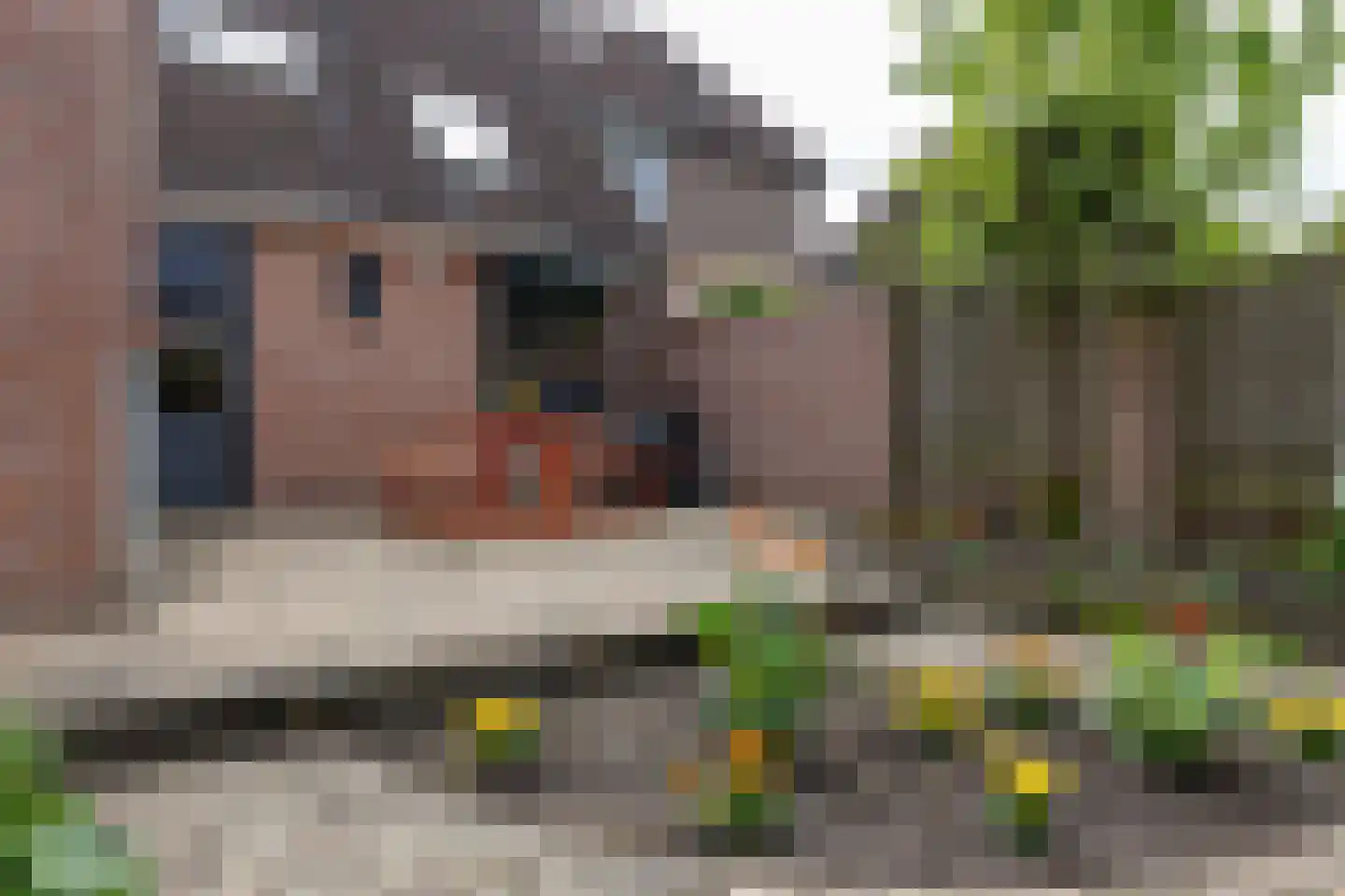 Switbertushof 5 Lichtenvoorde thumbnail 36