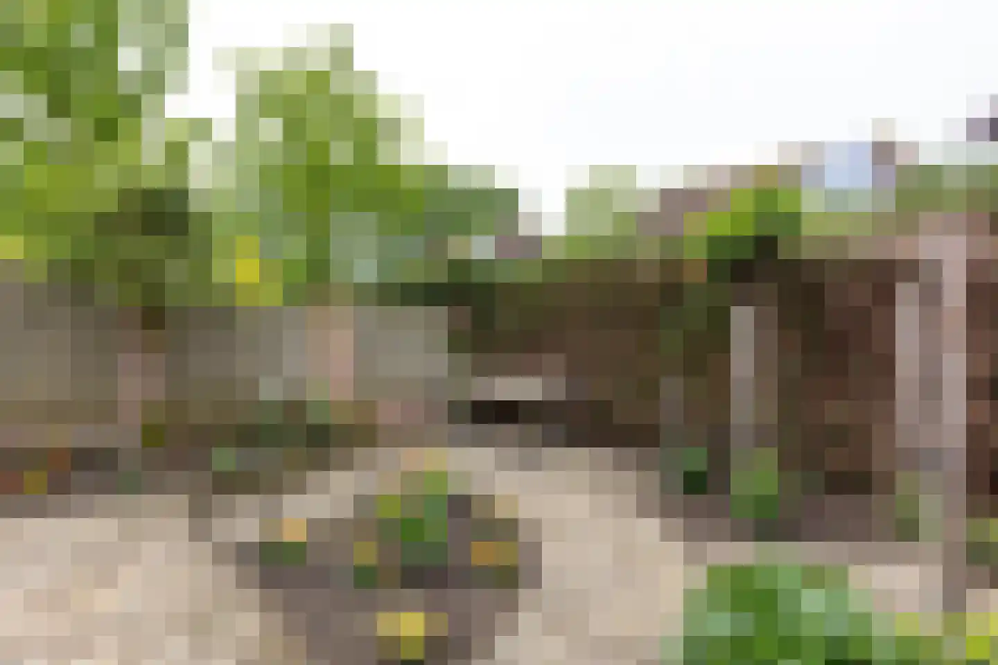 Switbertushof 5 Lichtenvoorde thumbnail 41