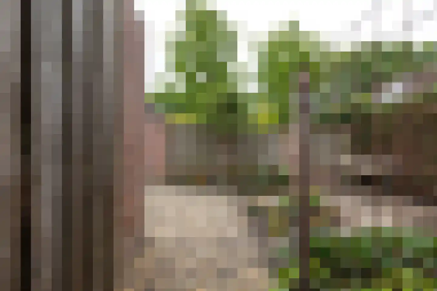 Switbertushof 5 Lichtenvoorde thumbnail 42