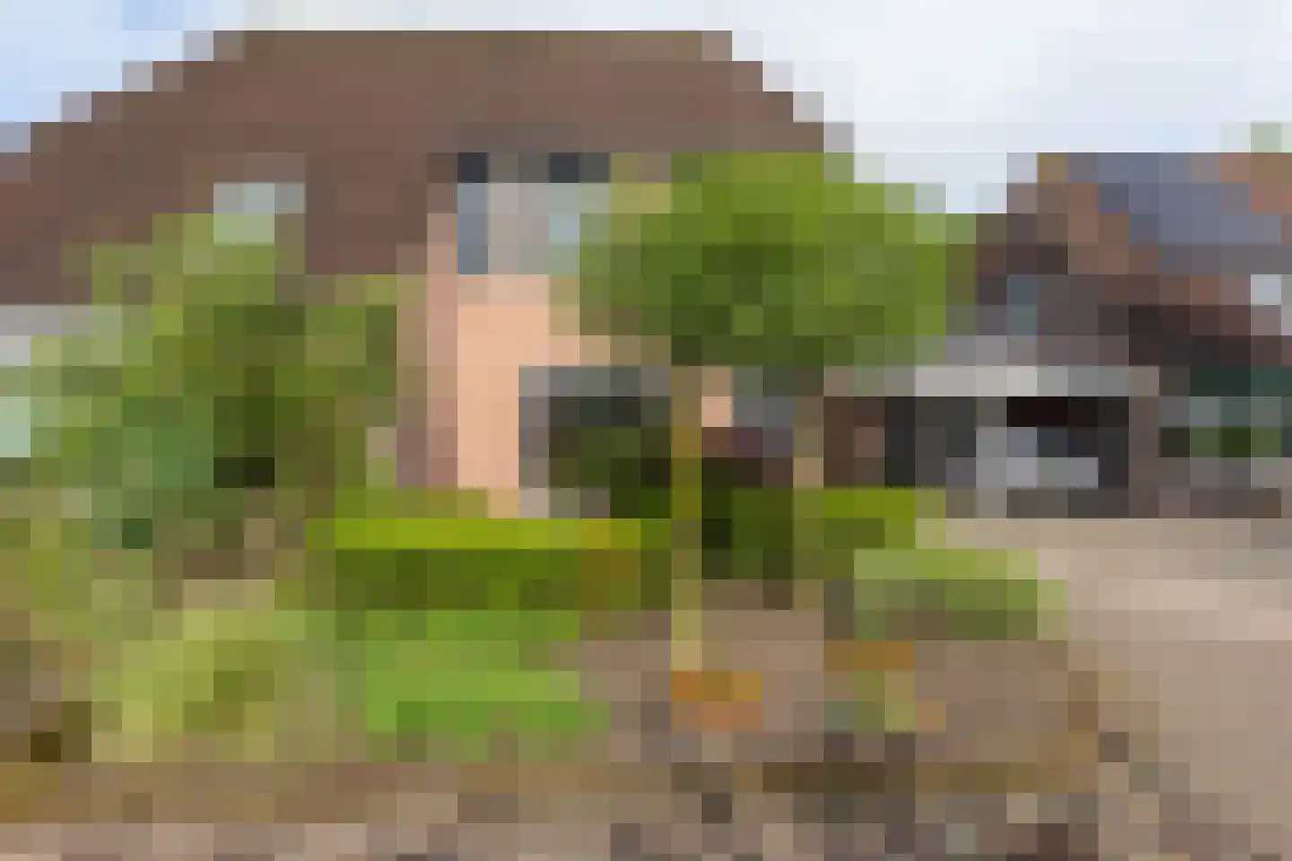 Switbertushof 5 Lichtenvoorde thumbnail 44