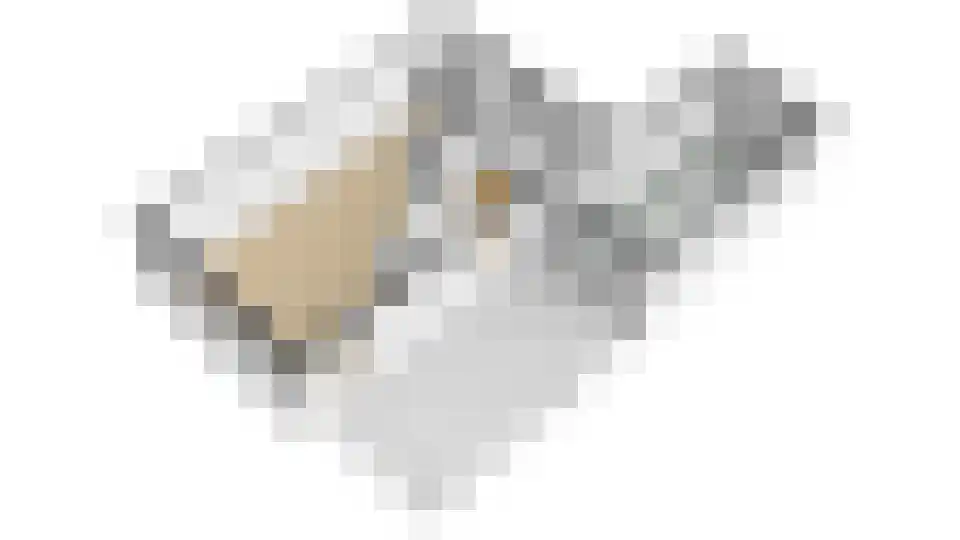 Switbertushof 5 Lichtenvoorde thumbnail 52