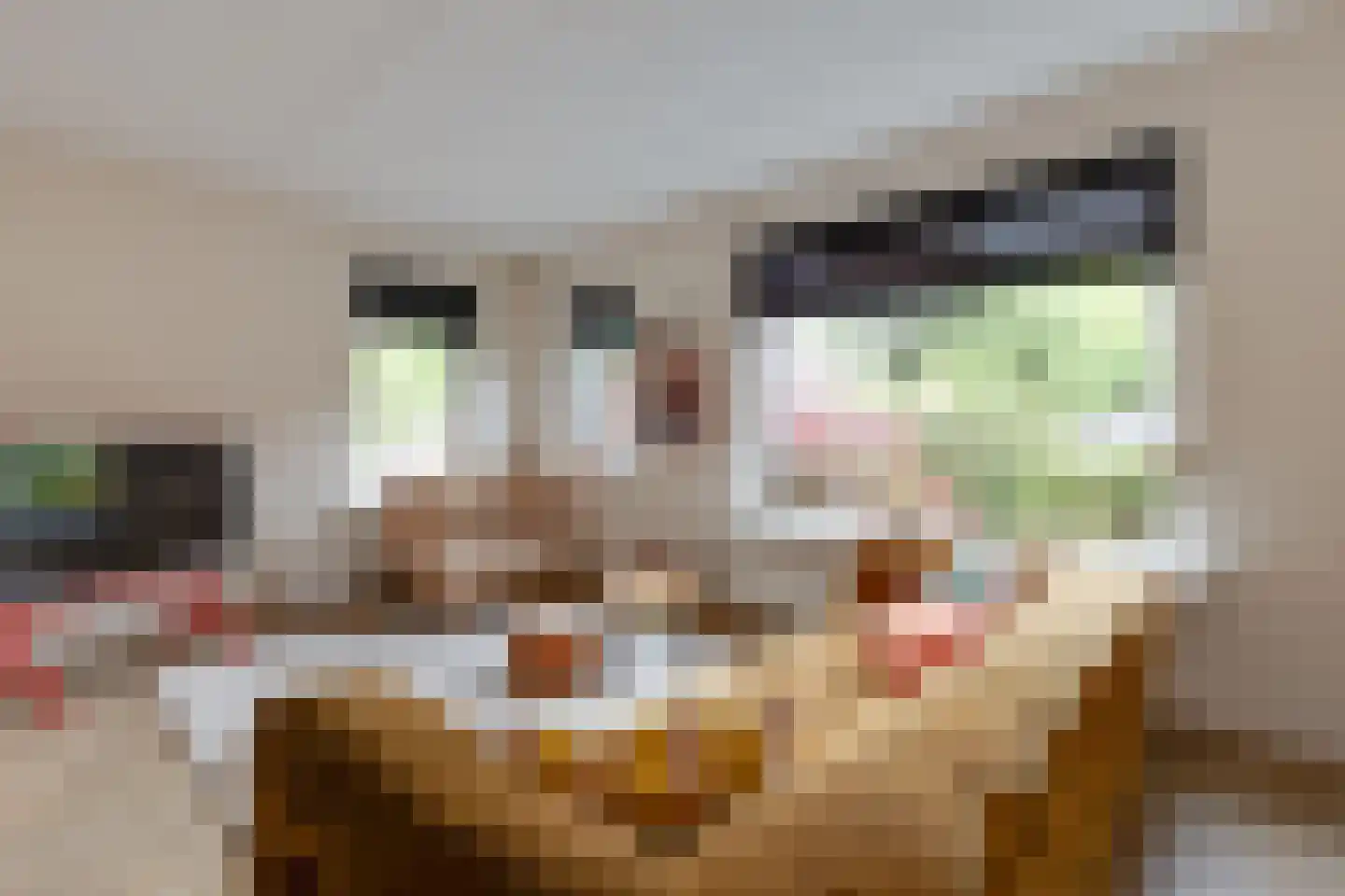 Switbertushof 5 Lichtenvoorde thumbnail 7