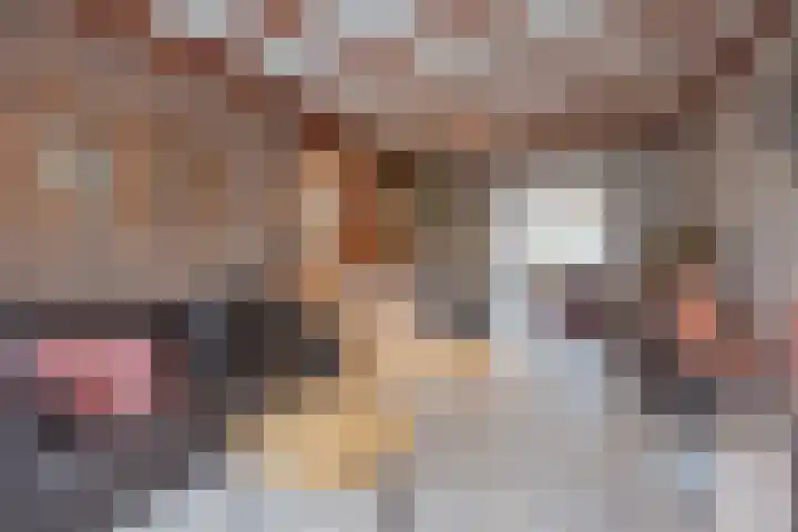 Swolgenseweg 24 Tienray thumbnail 14
