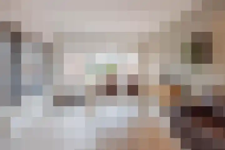 Swolgenseweg 24 Tienray thumbnail 18