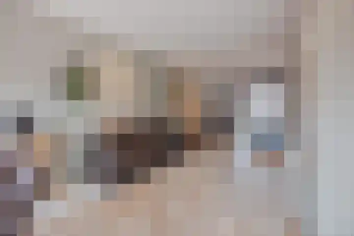 Swolgenseweg 24 Tienray thumbnail 19