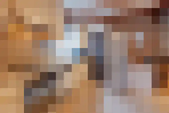 Swolgenseweg 24 Tienray thumbnail 5