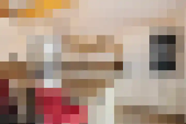 Swolgenseweg 31 Tienray thumbnail 18