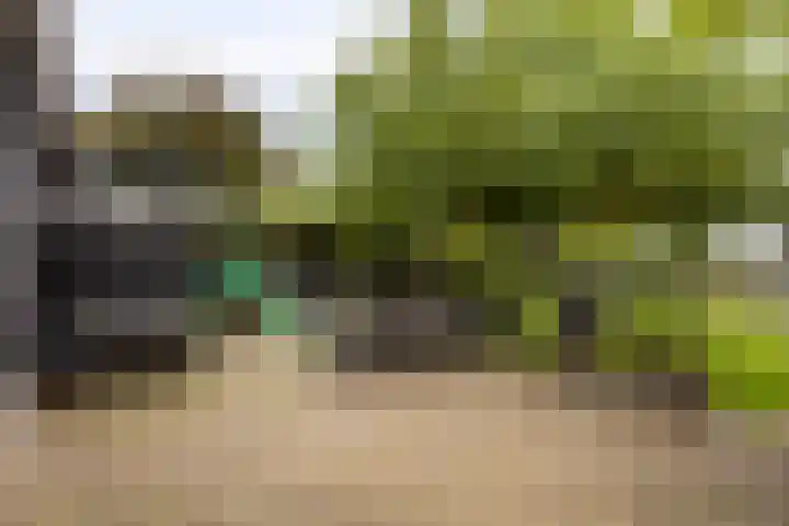 Swolgenseweg 31 Tienray thumbnail 32