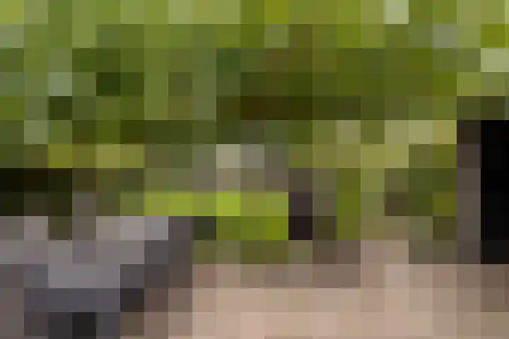 Swolgenseweg 31 Tienray thumbnail 33