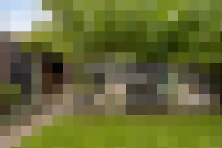 Swolgenseweg 31 Tienray thumbnail 34