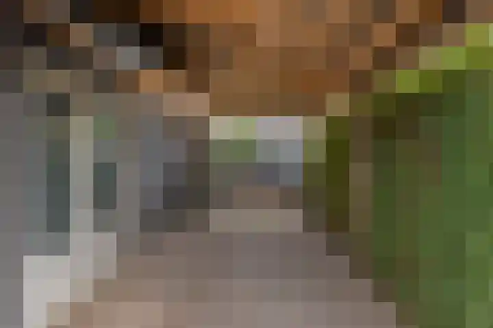 Swolgenseweg 31 Tienray thumbnail 37