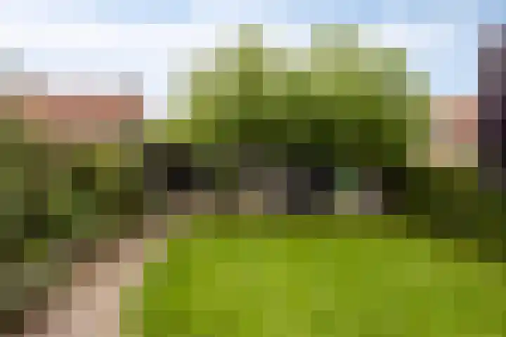 Swolgenseweg 31 Tienray thumbnail 4