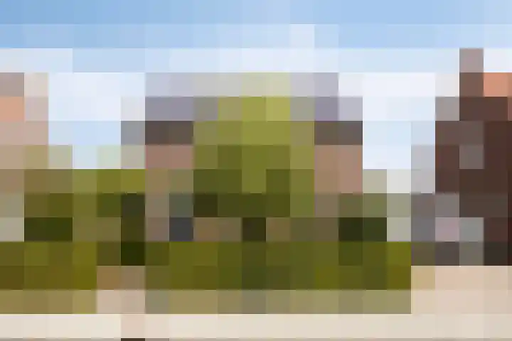 Swolgenseweg 31 Tienray thumbnail 5