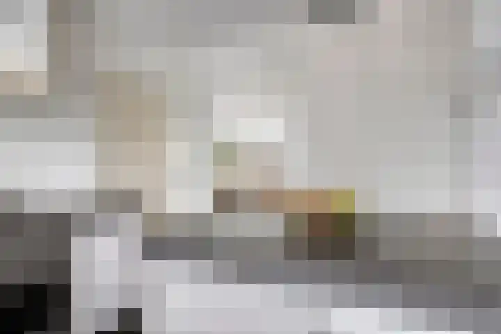Swolgenseweg 35 Tienray thumbnail 18