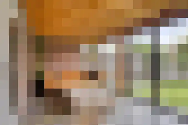 Swolgenseweg 35 Tienray thumbnail 23
