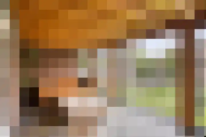 Swolgenseweg 35 Tienray thumbnail 24