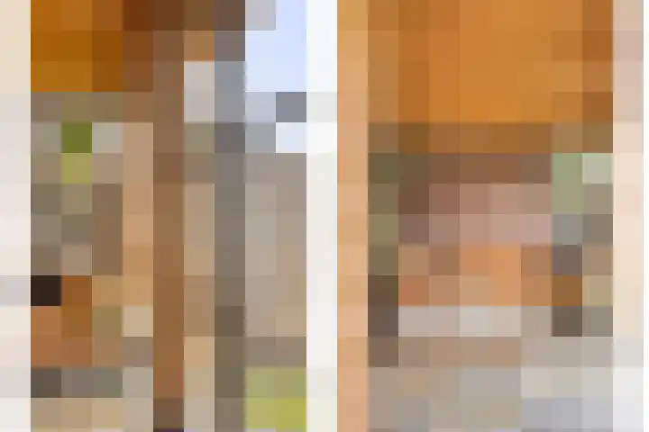 Swolgenseweg 35 Tienray thumbnail 26