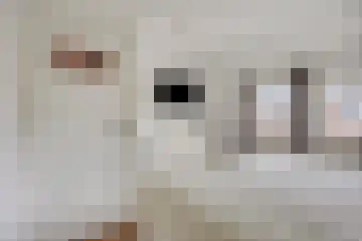 Swolgenseweg 35 Tienray thumbnail 30