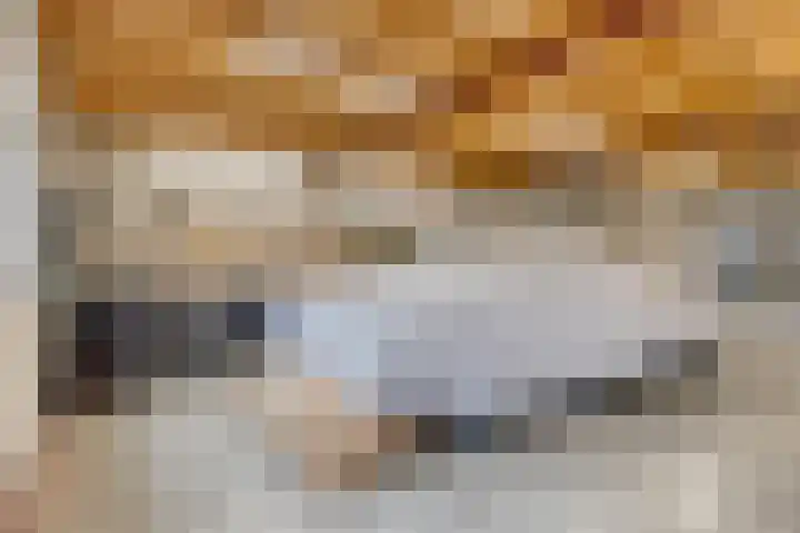 Swolgenseweg 35 Tienray thumbnail 41