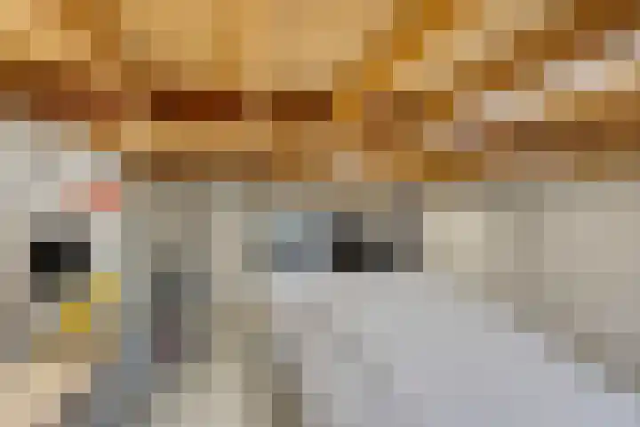 Swolgenseweg 35 Tienray thumbnail 42