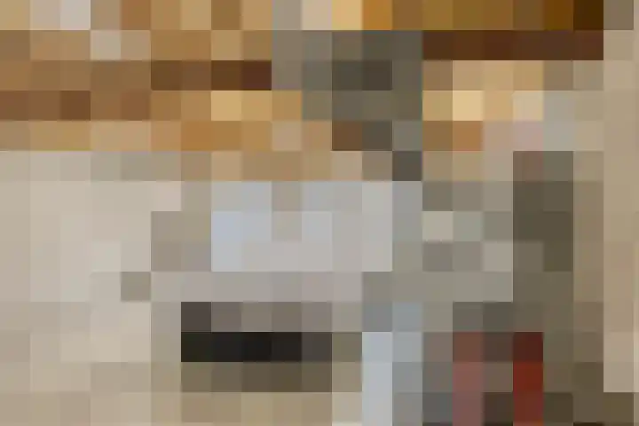 Swolgenseweg 35 Tienray thumbnail 44