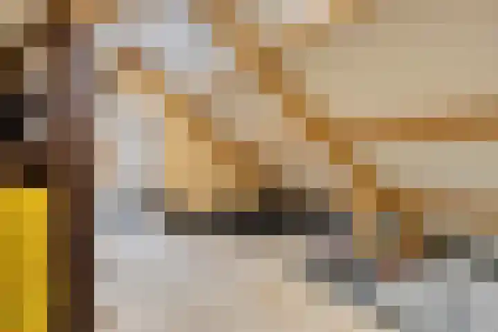 Swolgenseweg 35 Tienray thumbnail 46