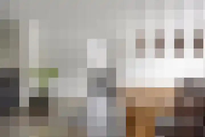 Swolgenseweg 35 Tienray thumbnail 6