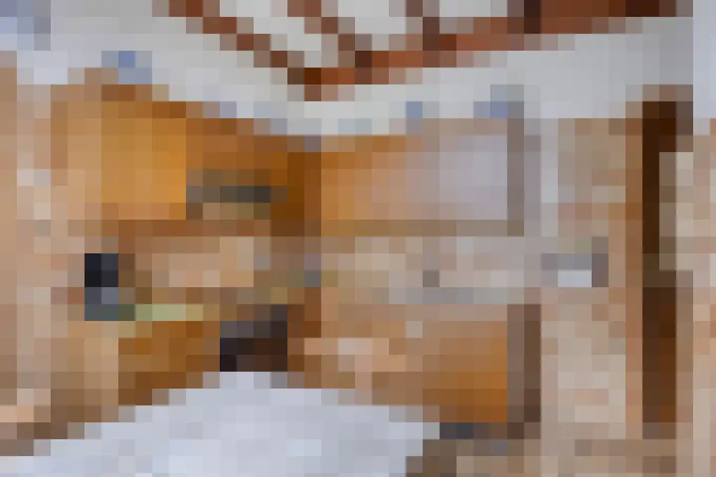 Swolgenseweg 5 Broekhuizenvorst thumbnail 16
