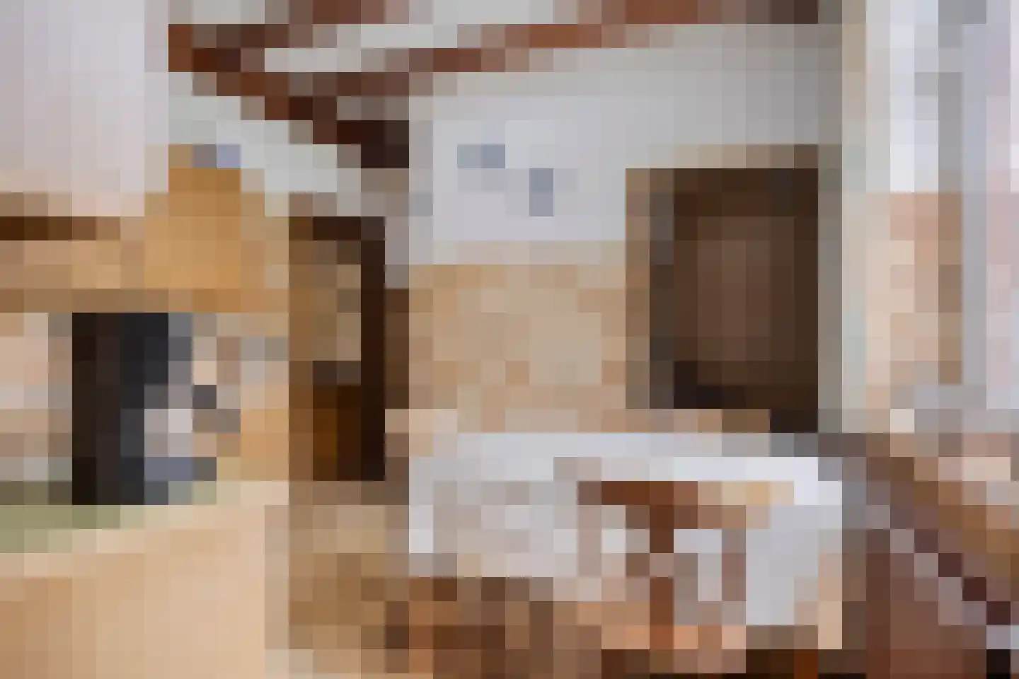 Swolgenseweg 5 Broekhuizenvorst thumbnail 18
