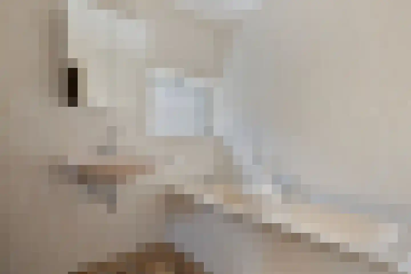 Swolgenseweg 5 Broekhuizenvorst thumbnail 21