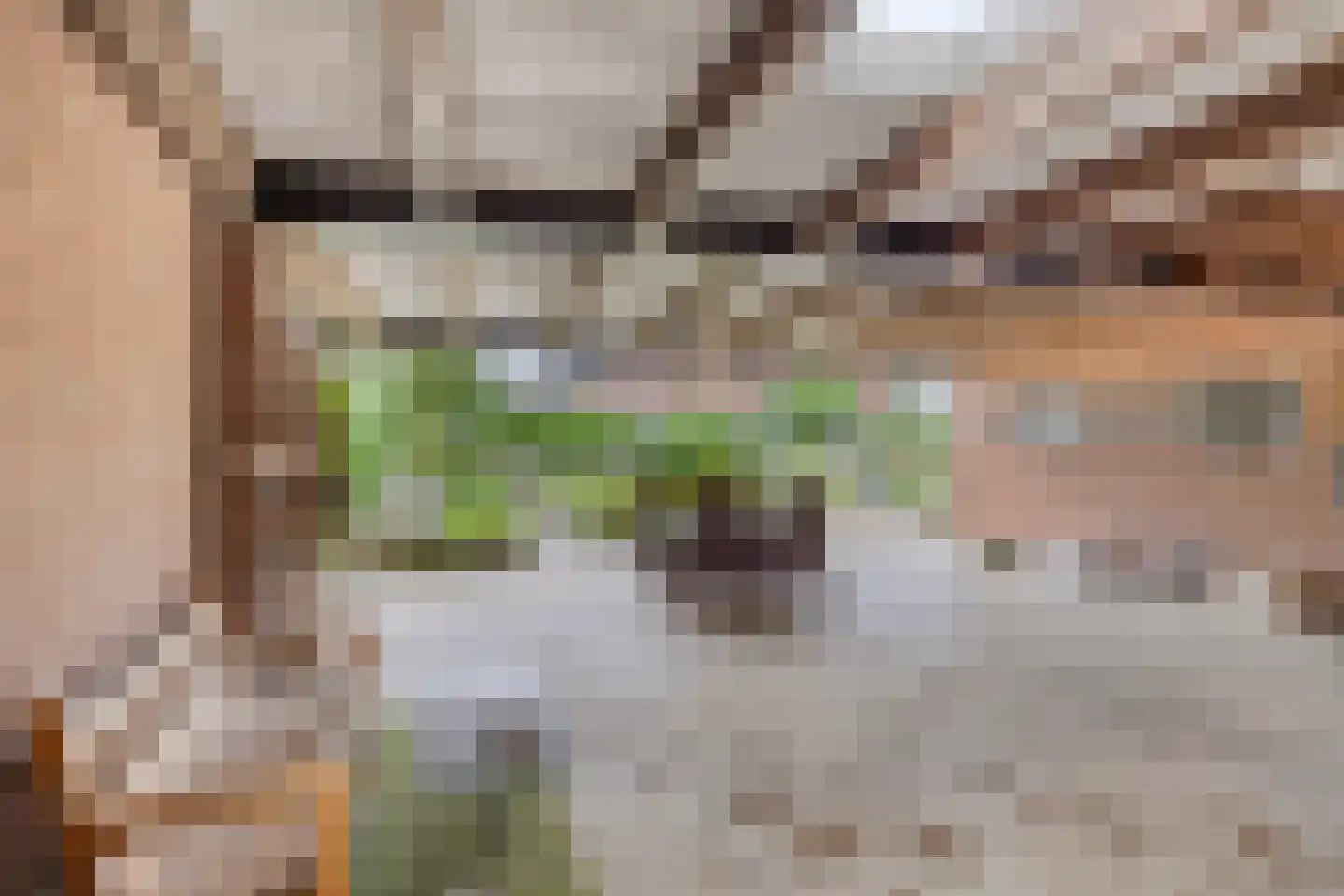 Swolgenseweg 5 Broekhuizenvorst thumbnail 35