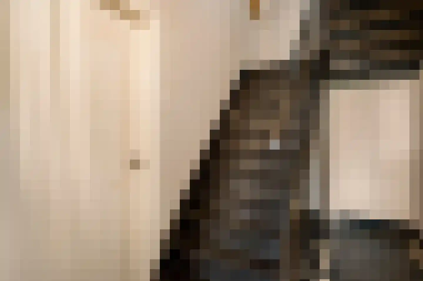 Swolgenseweg 9 Broekhuizenvorst thumbnail 13