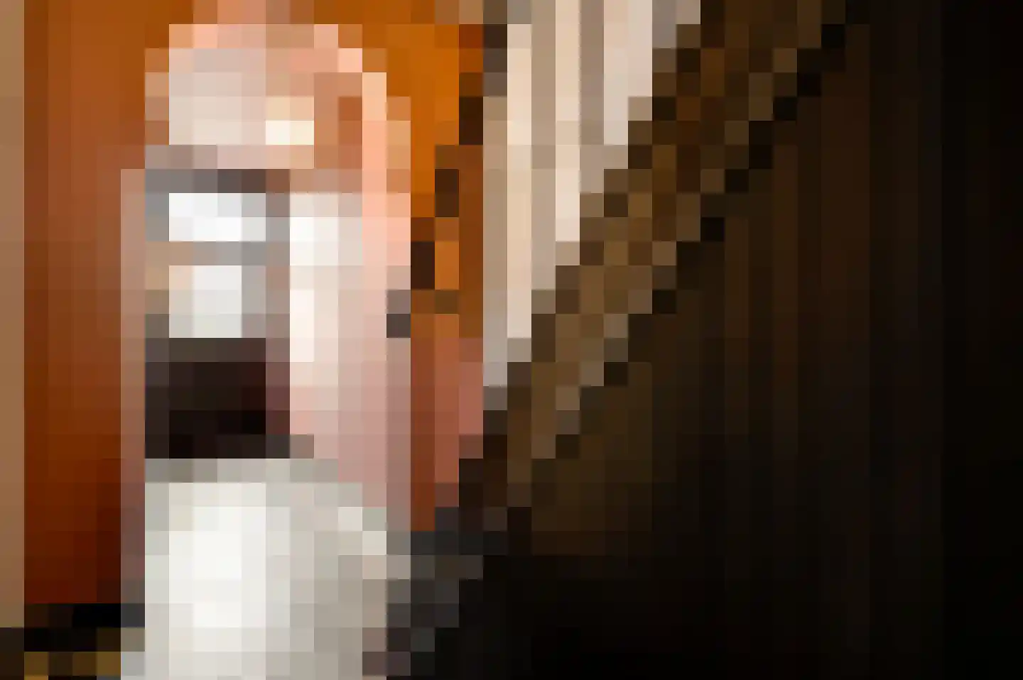 Swolgenseweg 9 Broekhuizenvorst thumbnail 14