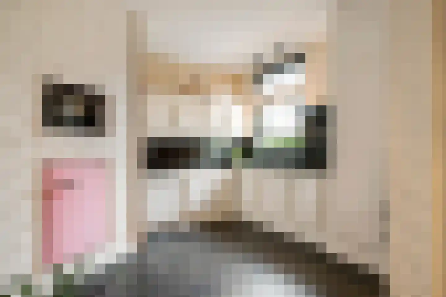 Swolgenseweg 9 Broekhuizenvorst thumbnail 16