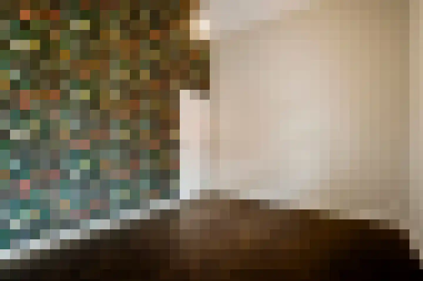 Swolgenseweg 9 Broekhuizenvorst thumbnail 41