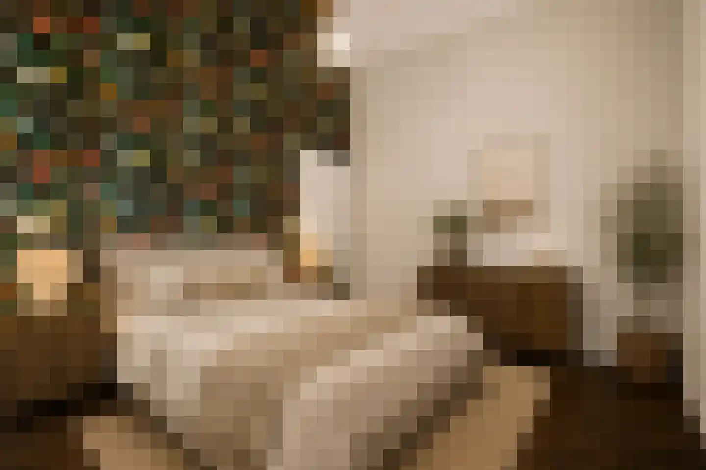 Swolgenseweg 9 Broekhuizenvorst thumbnail 42