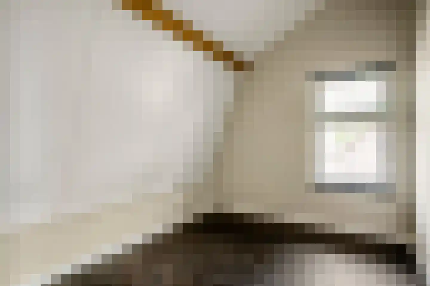 Swolgenseweg 9 Broekhuizenvorst thumbnail 43