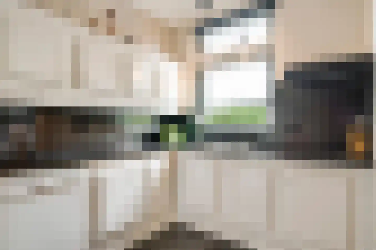 Swolgenseweg 9 Broekhuizenvorst thumbnail 5