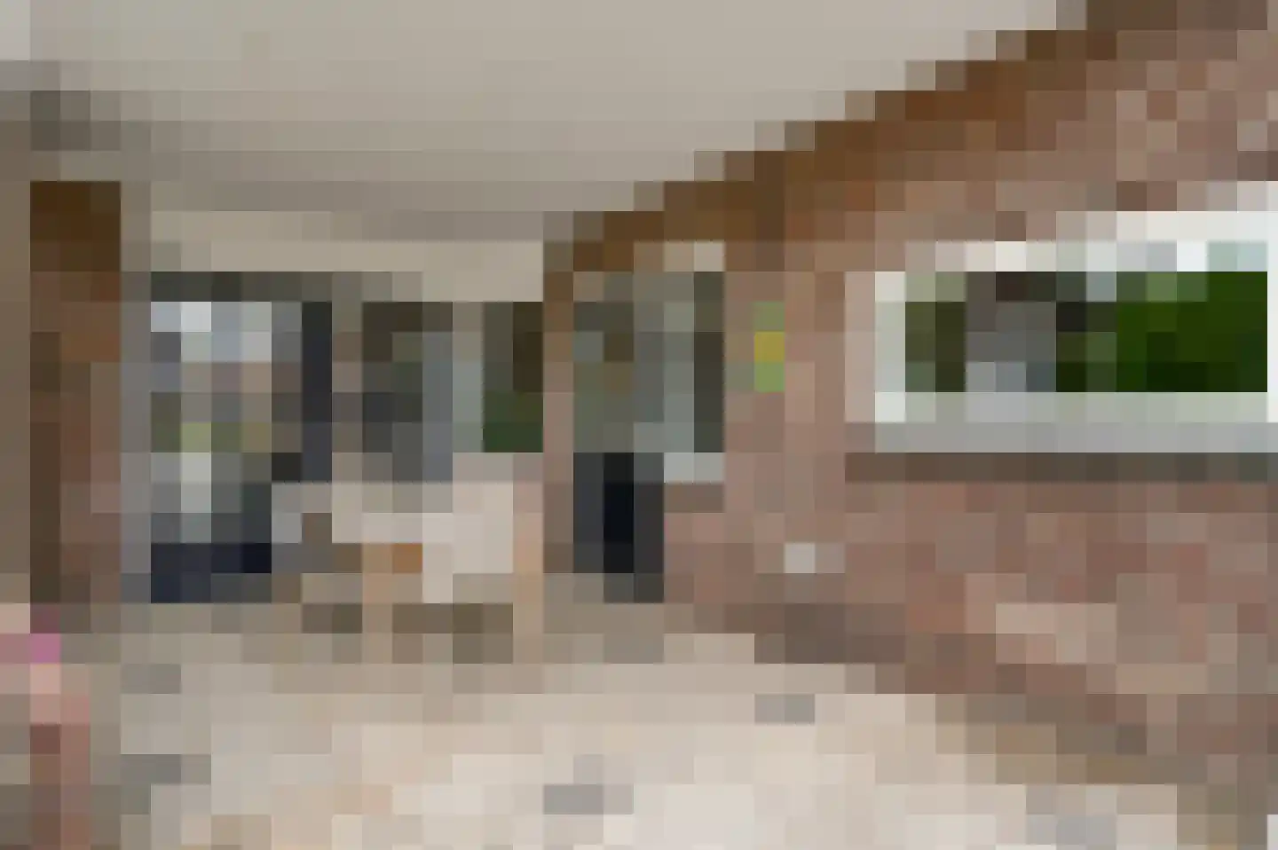 Swolgenseweg 9 Broekhuizenvorst thumbnail 62
