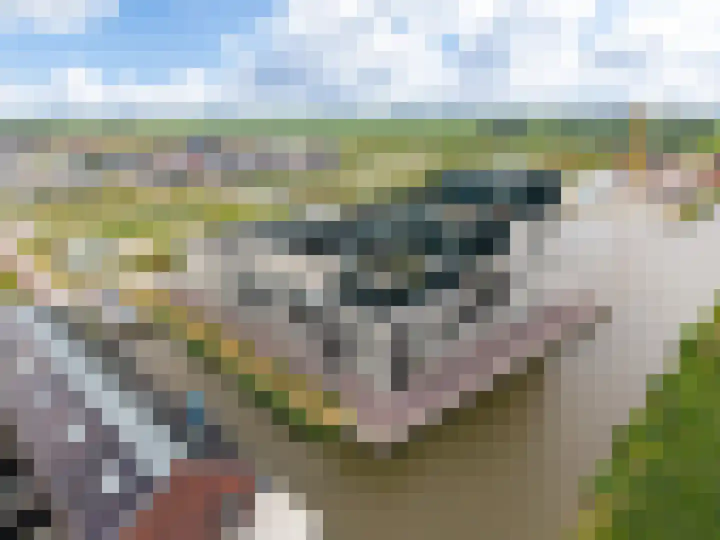 Swurdkade 30 Leeuwarden thumbnail 44