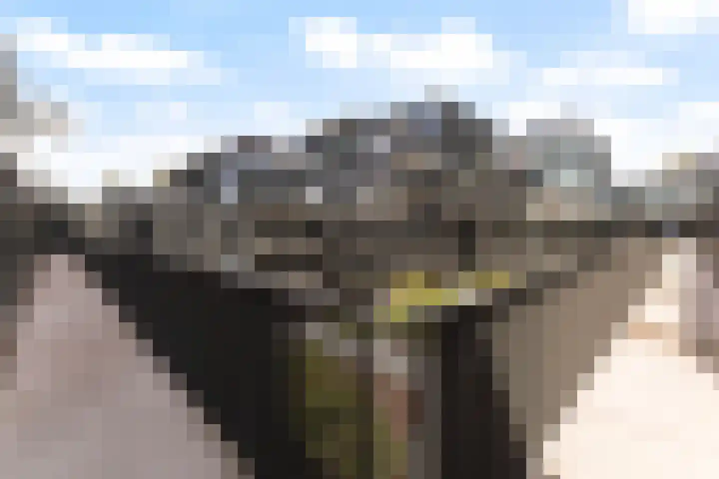 Swurdkade 56 Leeuwarden thumbnail 11