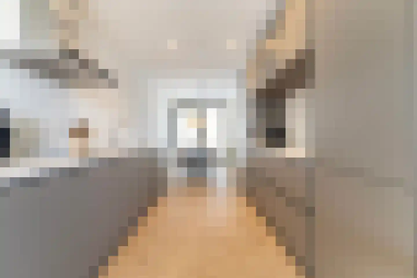 Swurdkade 56 Leeuwarden thumbnail 23