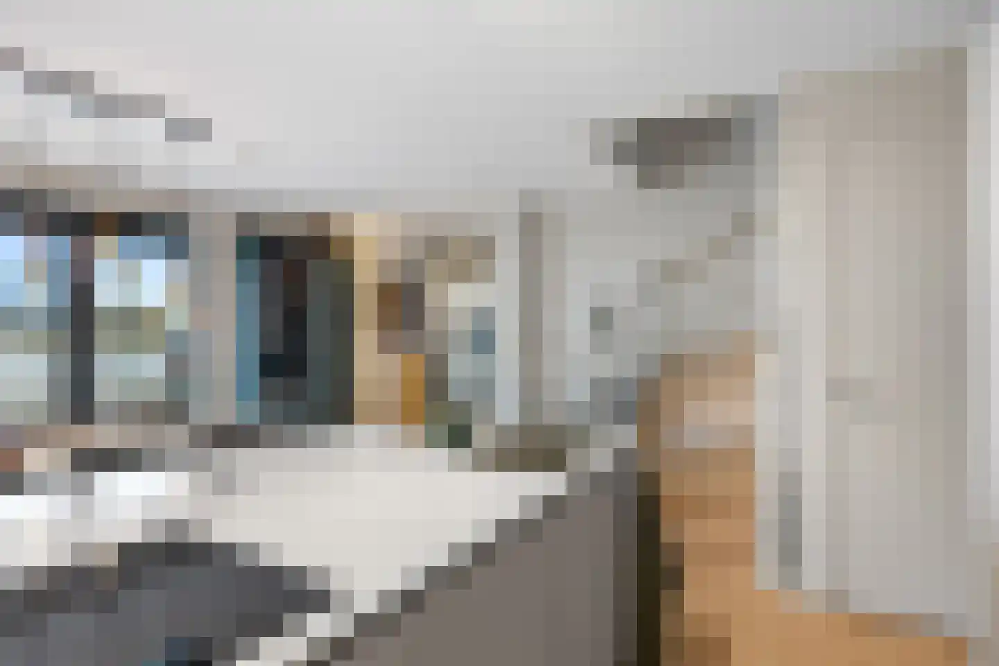 Swurdkade 6 Leeuwarden thumbnail 10