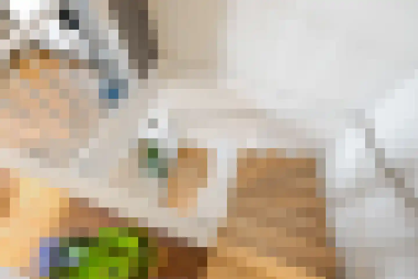 Swurdkade 6 Leeuwarden thumbnail 16