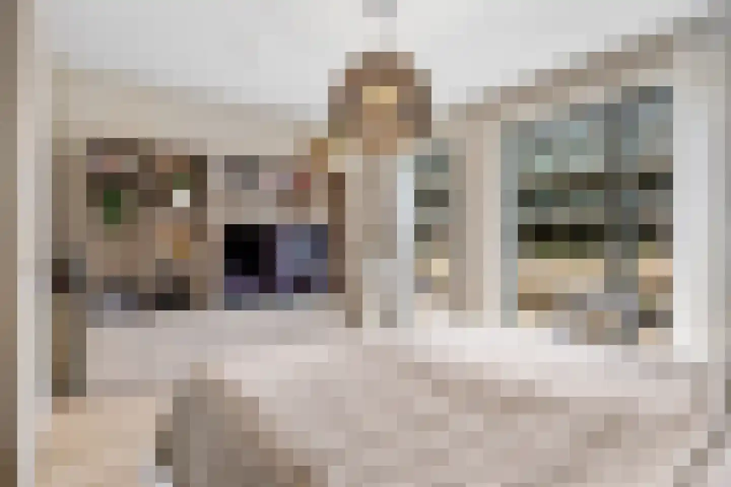 Swurdkade 6 Leeuwarden thumbnail 33