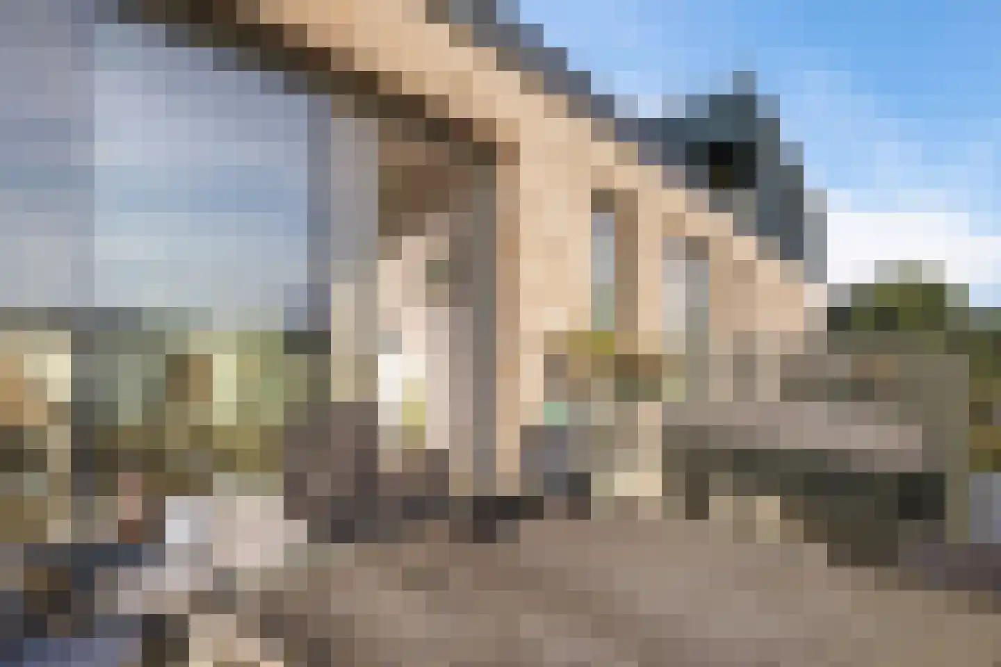 Swurdkade 70 Leeuwarden thumbnail 20