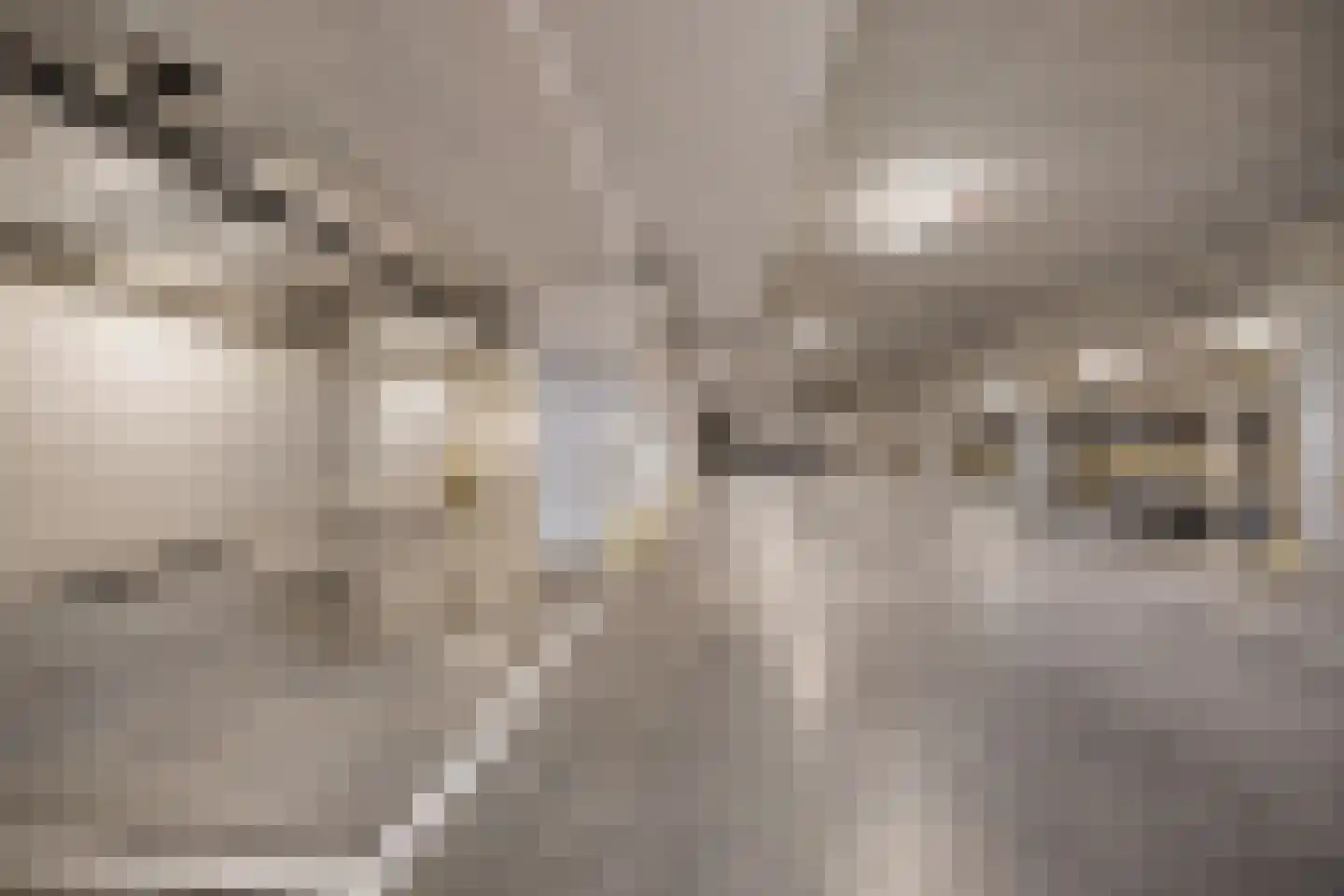 Swurdkade 70 Leeuwarden thumbnail 32
