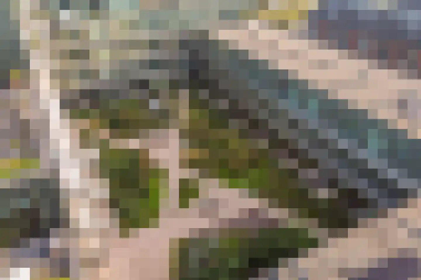 Swurdkade 70 Leeuwarden thumbnail 5